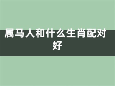 属马人和什么生肖配对好