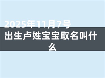 2025年11月7号出生卢姓宝宝取名叫什么
