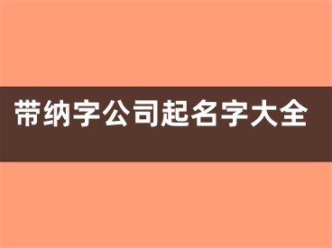 带纳字公司起名字大全