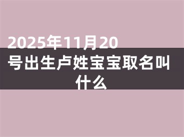 2025年11月20号出生卢姓宝宝取名叫什么