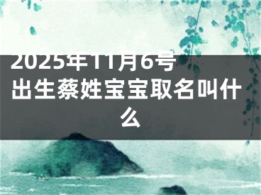 2025年11月6号出生蔡姓宝宝取名叫什么