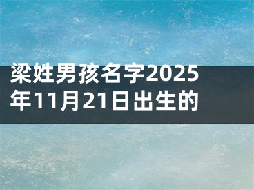 梁姓男孩名字2025年11月21日出生的