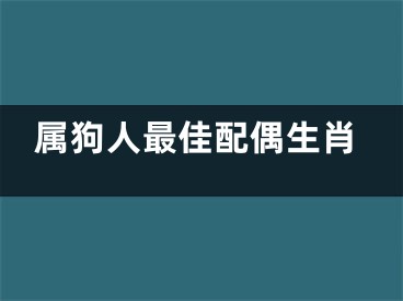 属狗人最佳配偶生肖