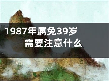 1987年属兔39岁需要注意什么