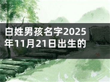白姓男孩名字2025年11月21日出生的