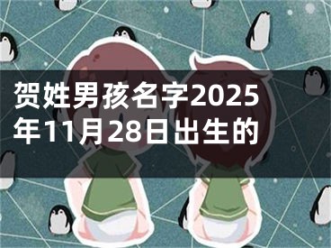 贺姓男孩名字2025年11月28日出生的