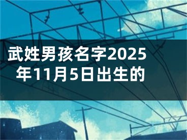 武姓男孩名字2025年11月5日出生的