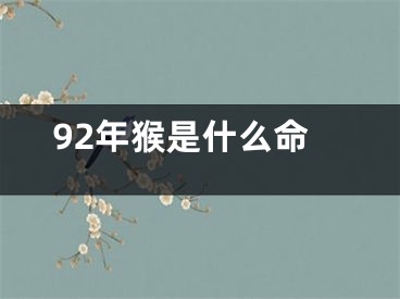 92年猴是什么命