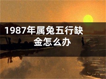 1987年属兔五行缺金怎么办