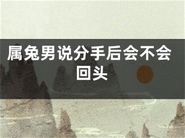 属兔男说分手后会不会回头
