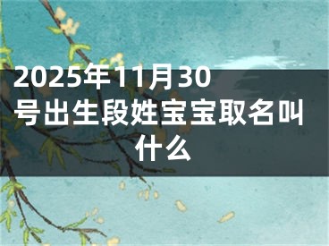 2025年11月30号出生段姓宝宝取名叫什么