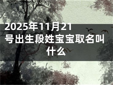 2025年11月21号出生段姓宝宝取名叫什么