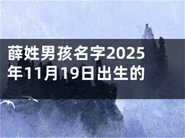 薛姓男孩名字2025年11月19日出生的