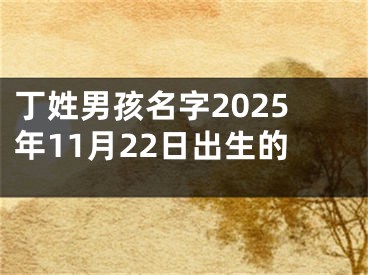 丁姓男孩名字2025年11月22日出生的