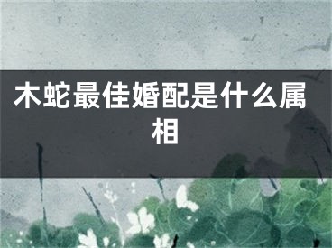 木蛇最佳婚配是什么属相