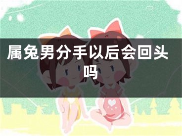 属兔男分手以后会回头吗