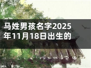 马姓男孩名字2025年11月18日出生的