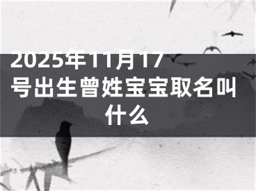 2025年11月17号出生曾姓宝宝取名叫什么