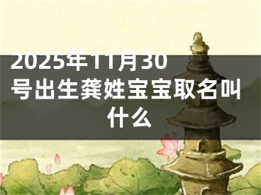 2025年11月30号出生龚姓宝宝取名叫什么