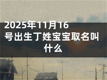 2025年11月16号出生丁姓宝宝取名叫什么