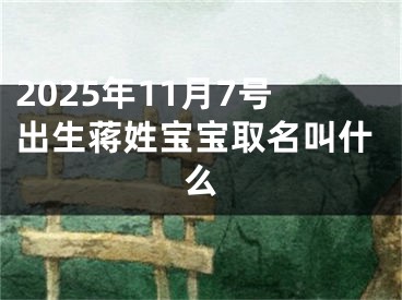 2025年11月7号出生蒋姓宝宝取名叫什么