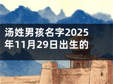 汤姓男孩名字2025年11月29日出生的