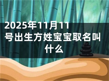 2025年11月11号出生方姓宝宝取名叫什么