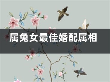 属兔女最佳婚配属相