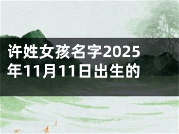 许姓女孩名字2025年11月11日出生的