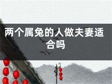 两个属兔的人做夫妻适合吗
