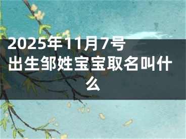 2025年11月7号出生邹姓宝宝取名叫什么