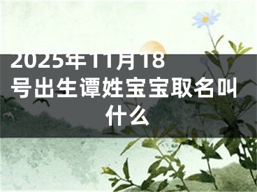 2025年11月18号出生谭姓宝宝取名叫什么