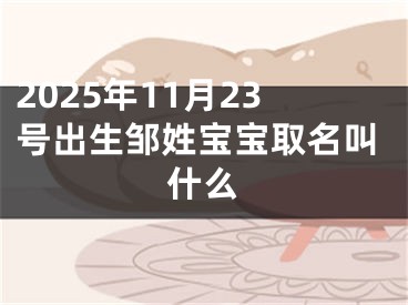 2025年11月23号出生邹姓宝宝取名叫什么