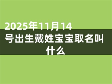 2025年11月14号出生戴姓宝宝取名叫什么