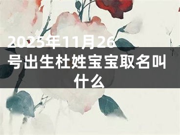 2025年11月26号出生杜姓宝宝取名叫什么
