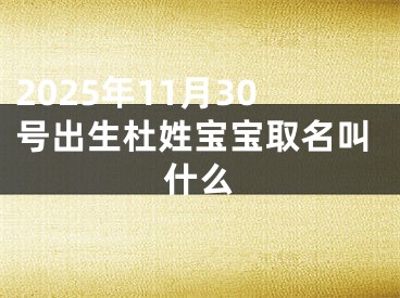 2025年11月30号出生杜姓宝宝取名叫什么