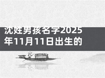 沈姓男孩名字2025年11月11日出生的