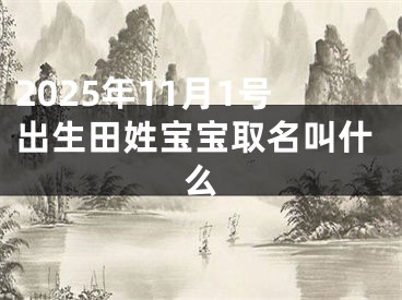 2025年11月1号出生田姓宝宝取名叫什么