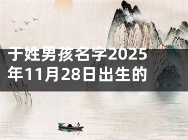 于姓男孩名字2025年11月28日出生的