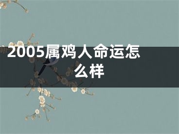 2005属鸡人命运怎么样