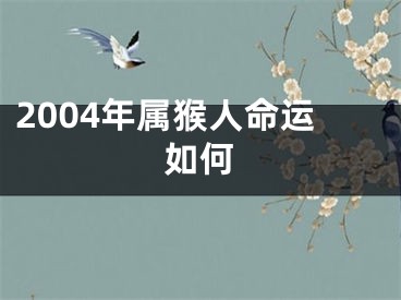 2004年属猴人命运如何