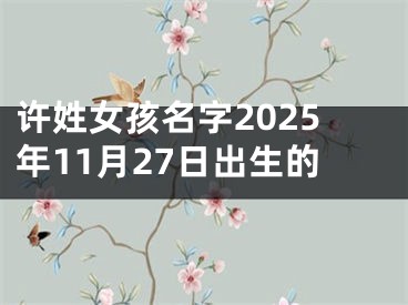 许姓女孩名字2025年11月27日出生的