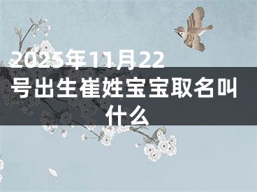 2025年11月22号出生崔姓宝宝取名叫什么
