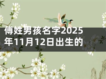 傅姓男孩名字2025年11月12日出生的