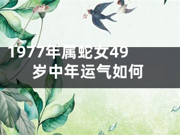 1977年属蛇女49岁中年运气如何