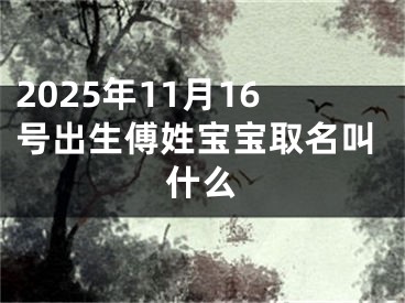 2025年11月16号出生傅姓宝宝取名叫什么