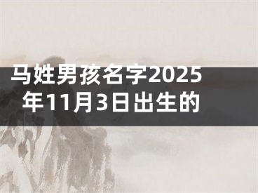 马姓男孩名字2025年11月3日出生的