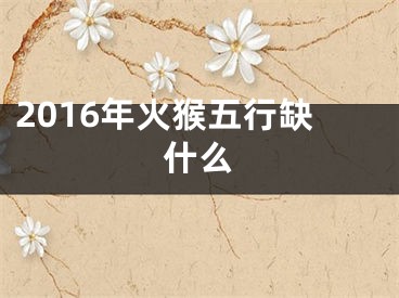 2016年火猴五行缺什么