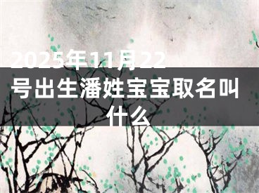 2025年11月22号出生潘姓宝宝取名叫什么
