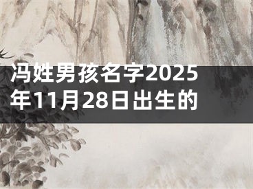 冯姓男孩名字2025年11月28日出生的
